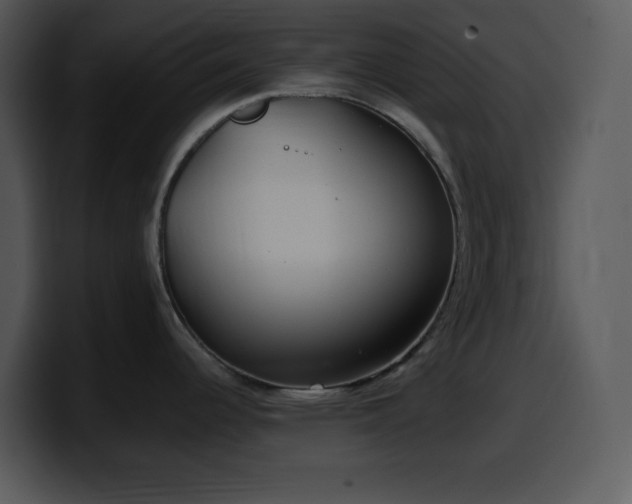X0000100421344200806061355