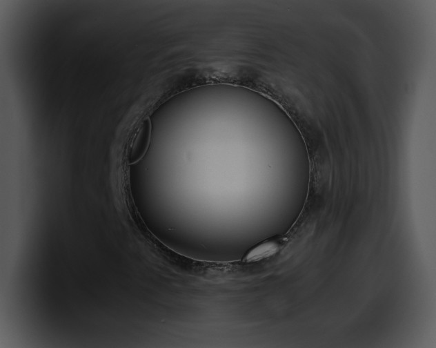 X0000100421345200806061354