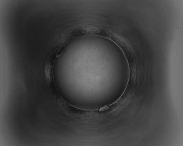 X0000100421346200806061354