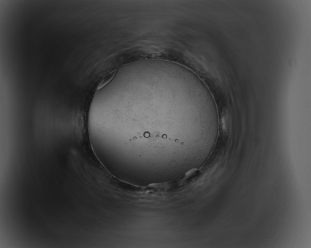 X0000100421347200806061354