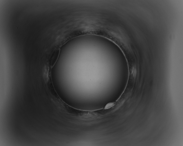 X0000100421348200806061354