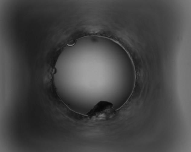 X0000100421349200806061354