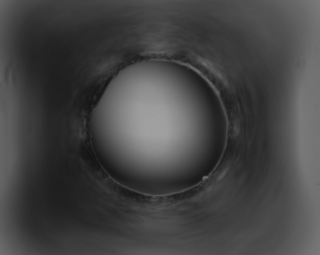 X0000100421350200806061354