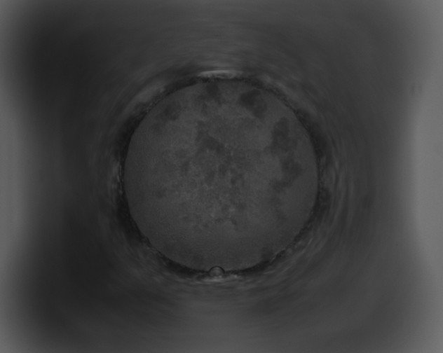 X0000100421351200806061354