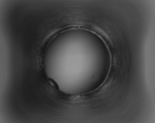 X0000100421352200806061354