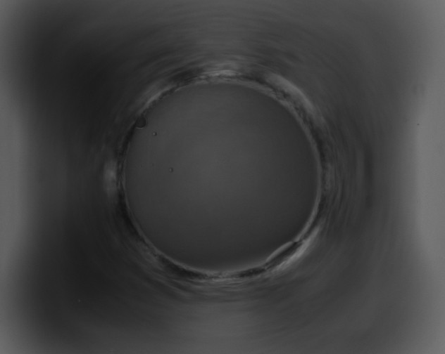 X0000100421353200806061354