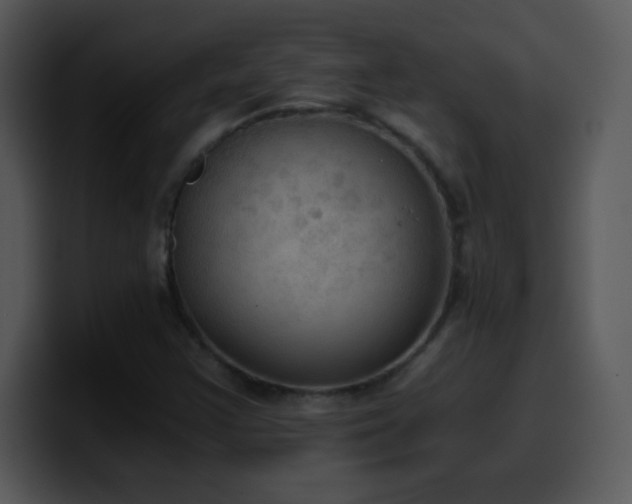 X0000100421355200806061354