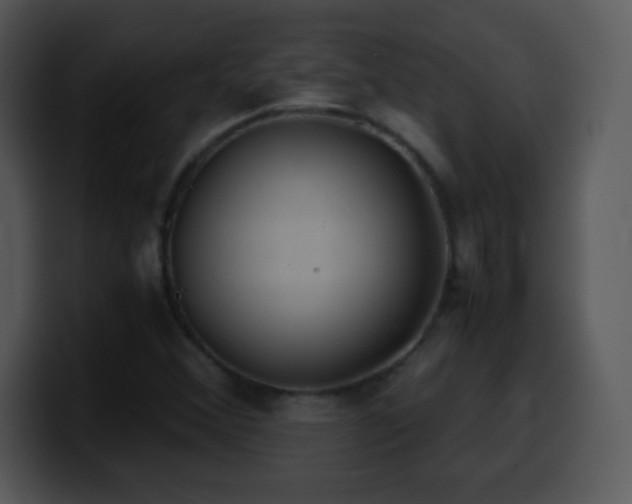 X0000100421356200806061354