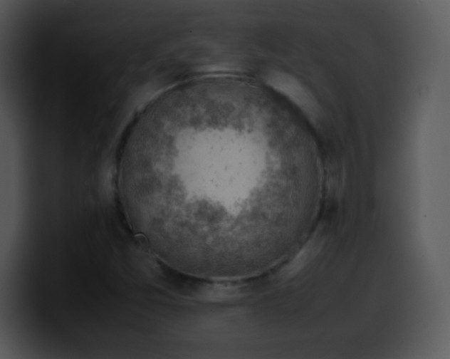 X0000100421357200806061354