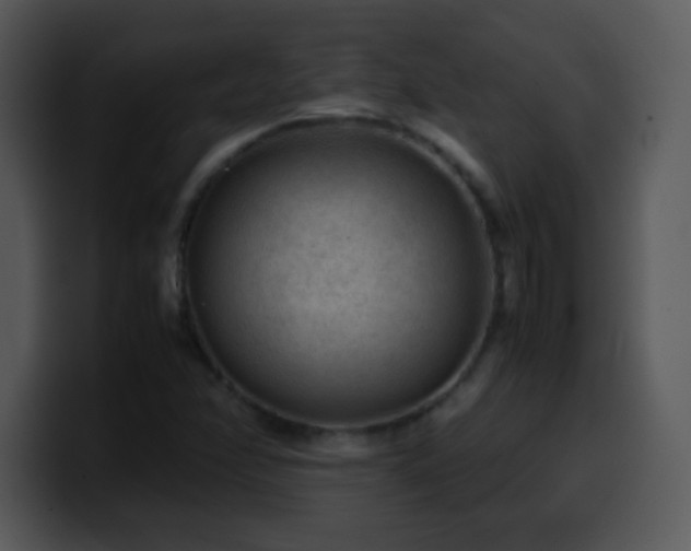 X0000100421358200806061354