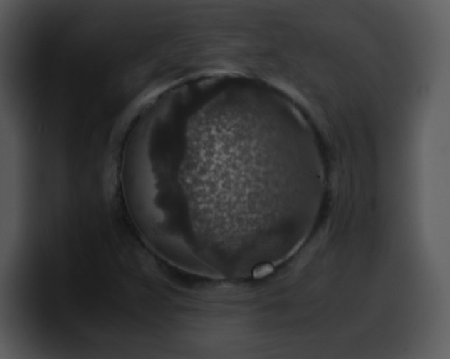 X0000100421359200806061354