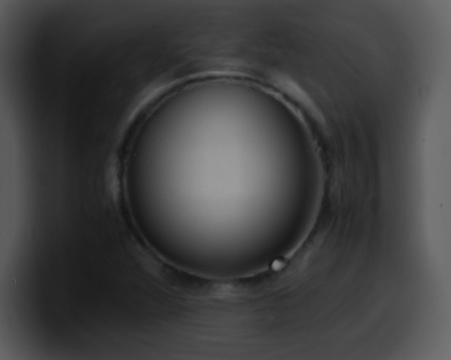 X0000100421360200806061354