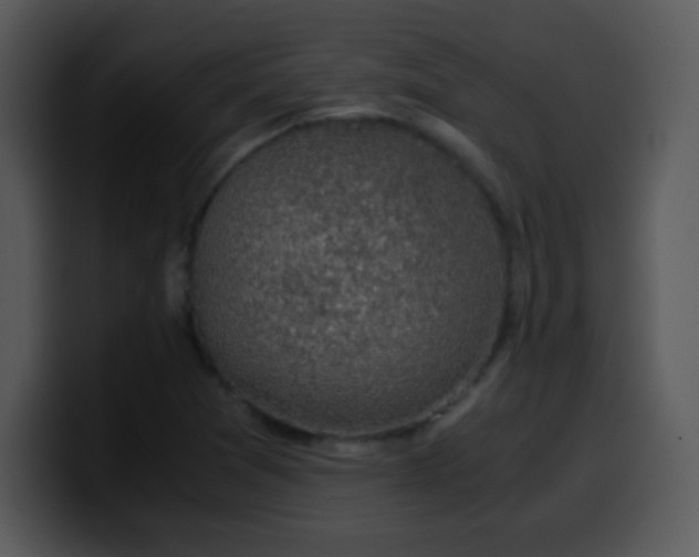 X0000100421361200806061354