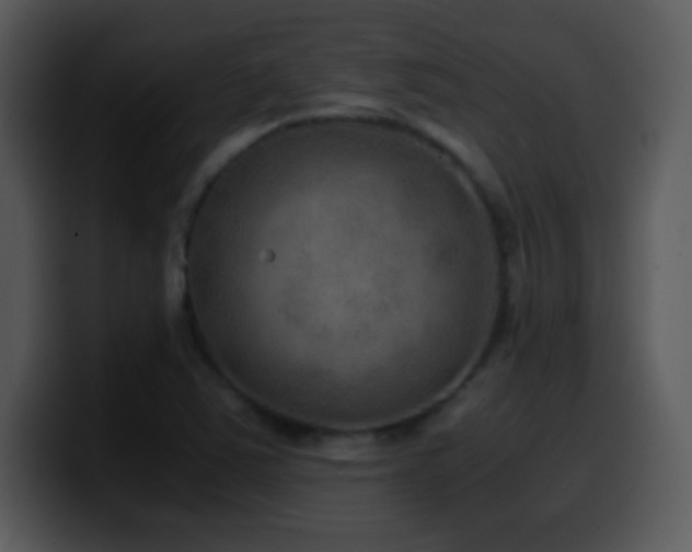 X0000100421363200806061354