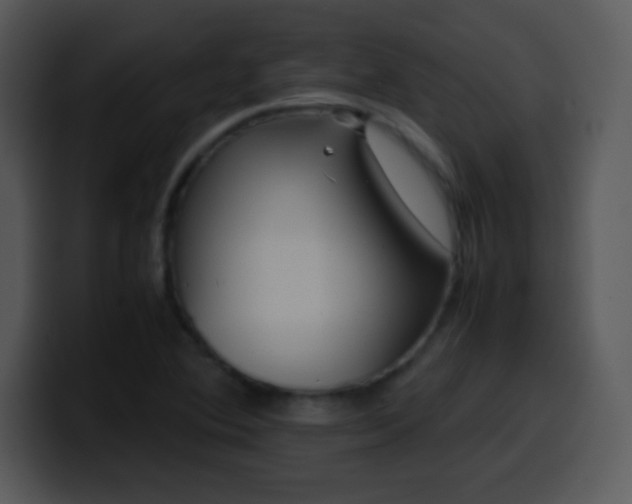 X0000100421364200806061354