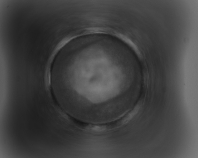 X0000100421365200806061354