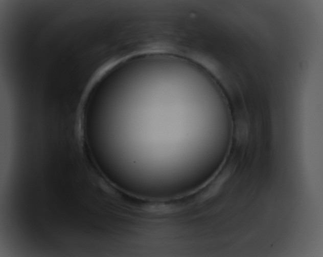 X0000100421366200806061354