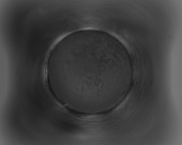 X0000100421367200806061354