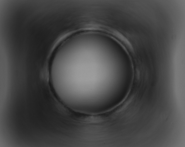 X0000100421368200806061354