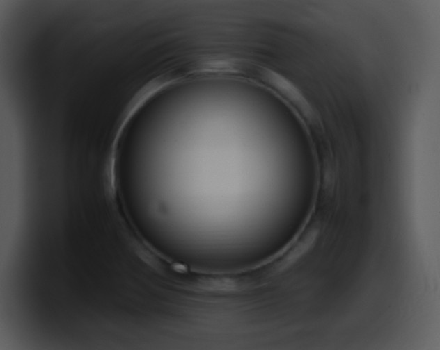 X0000100421370200806061354