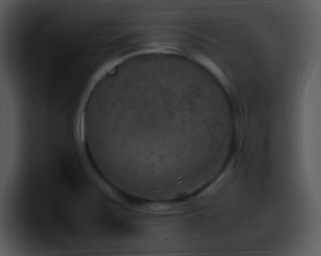 X0000100421371200806061354