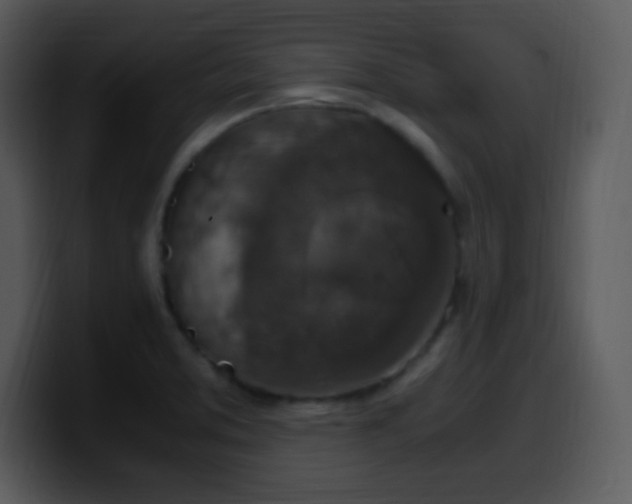 X0000100421373200806061354
