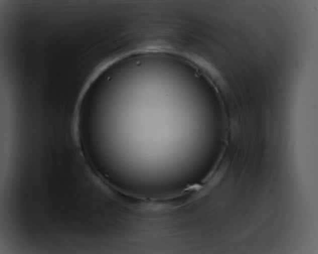 X0000100421374200806061354