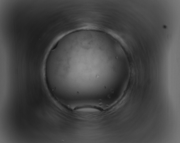 X0000100421375200806061354