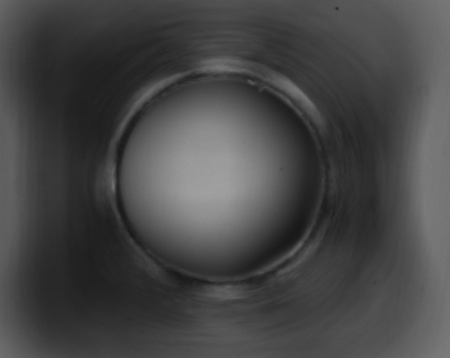 X0000100421376200806061354