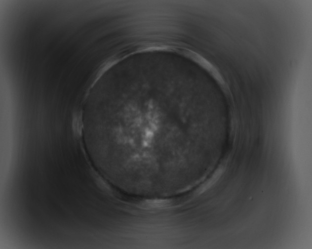 X0000100421377200806061354