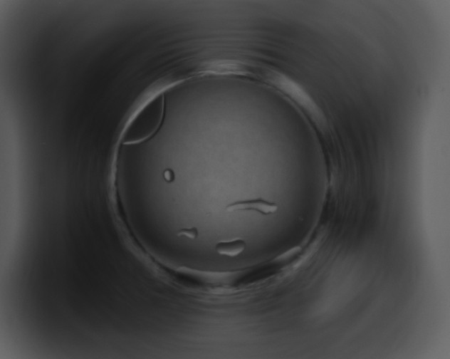 X0000100421378200806061354