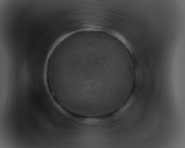 X0000100421379200806061354