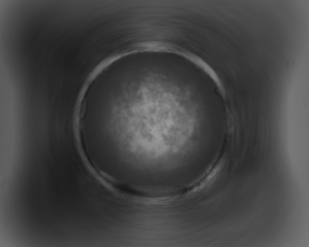 X0000100421381200806061354