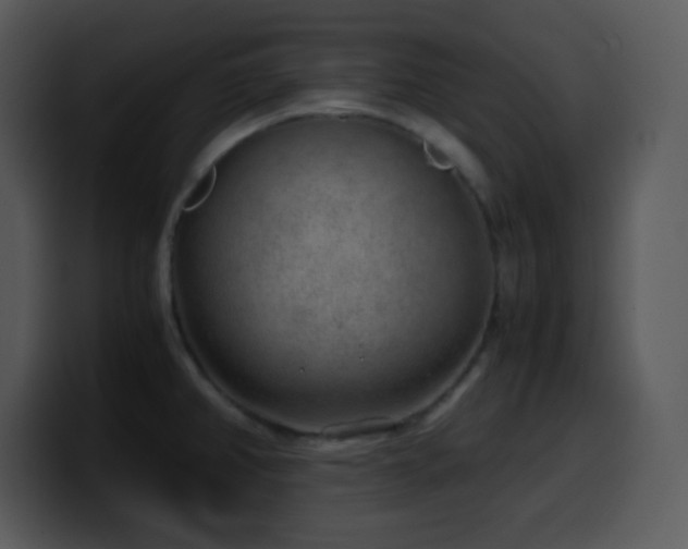 X0000100421382200806061353