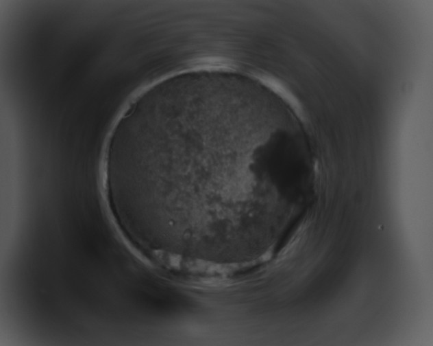 X0000100421383200806061353