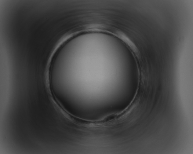 X0000100421384200806061353