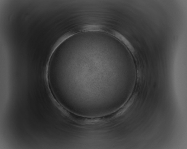 X0000100421386200806061353