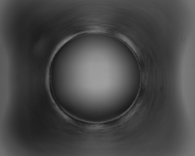 X0000100421387200806061353