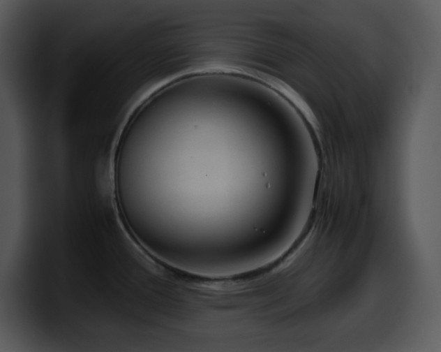 X0000100421388200806061353