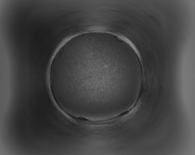 X0000100421389200806061353