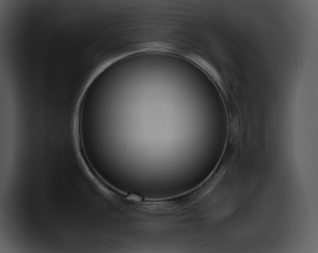 X0000100421391200806061353