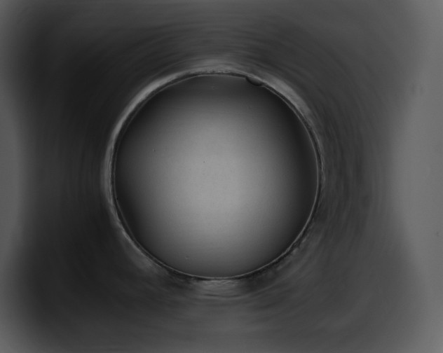 X0000100421392200806061353