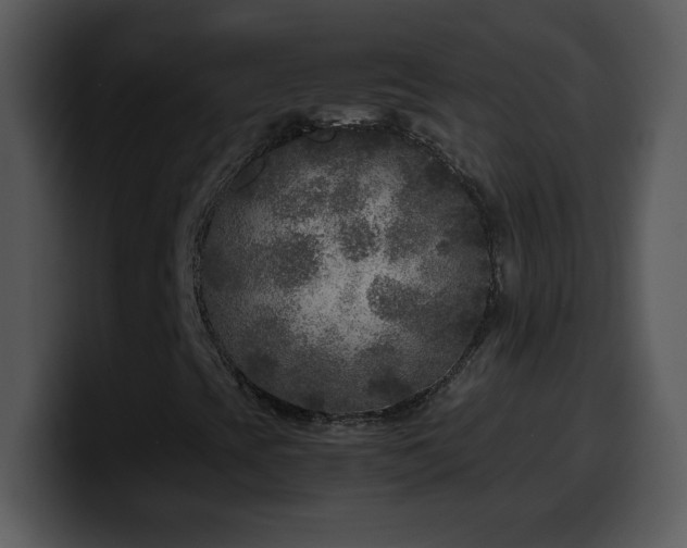 X0000100421393200806061353