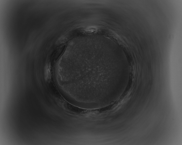 X0000100421394200806061353