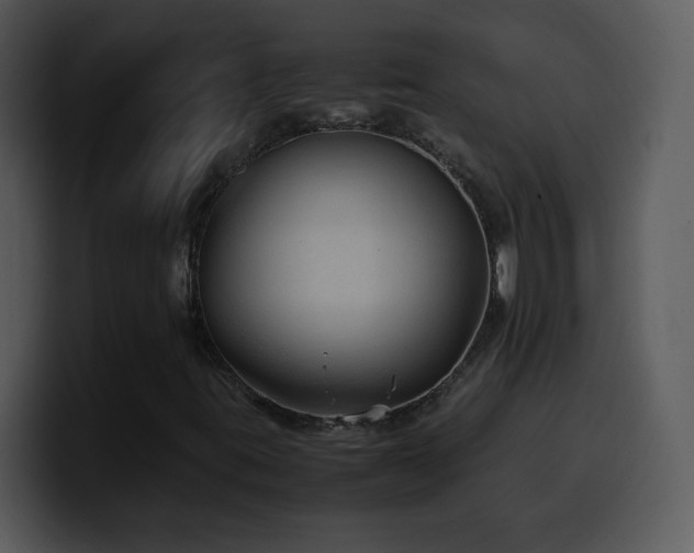 X0000100421395200806061353
