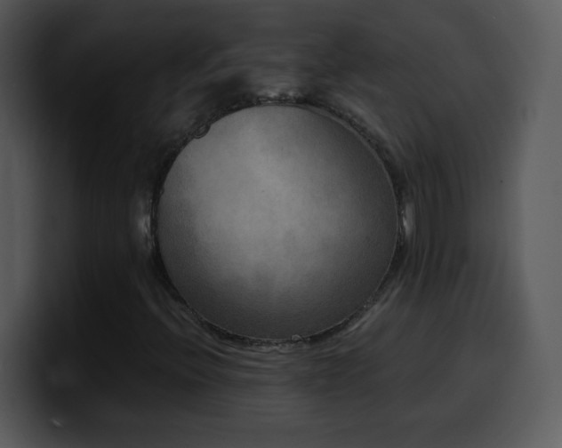 X0000100421396200806061353