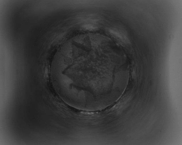 X0000100421397200806061353