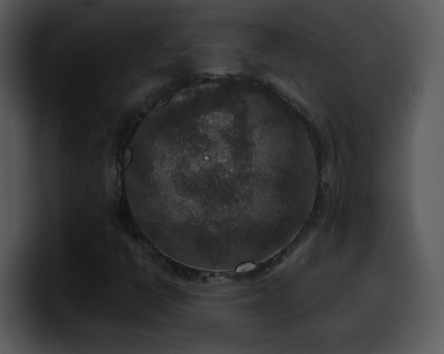 X0000100421398200806061353