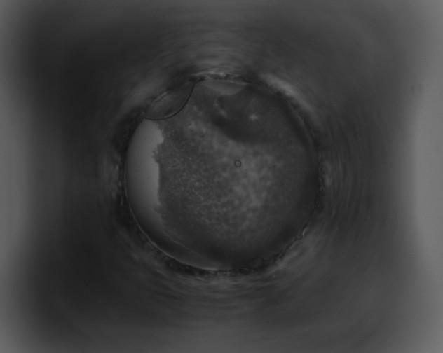 X0000100421399200806061353
