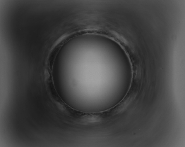 X0000100421400200806061353